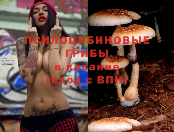 COCAINE Бородино